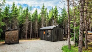 Een rustieke hut met een grindpad, omringd door dicht bos.