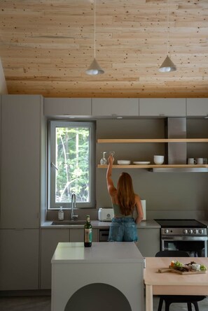 Fridge, microwave, oven, stovetop - La Niche Kanata Tremblant (260 Retour-aux-Sources) (Amherst)