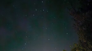منوع