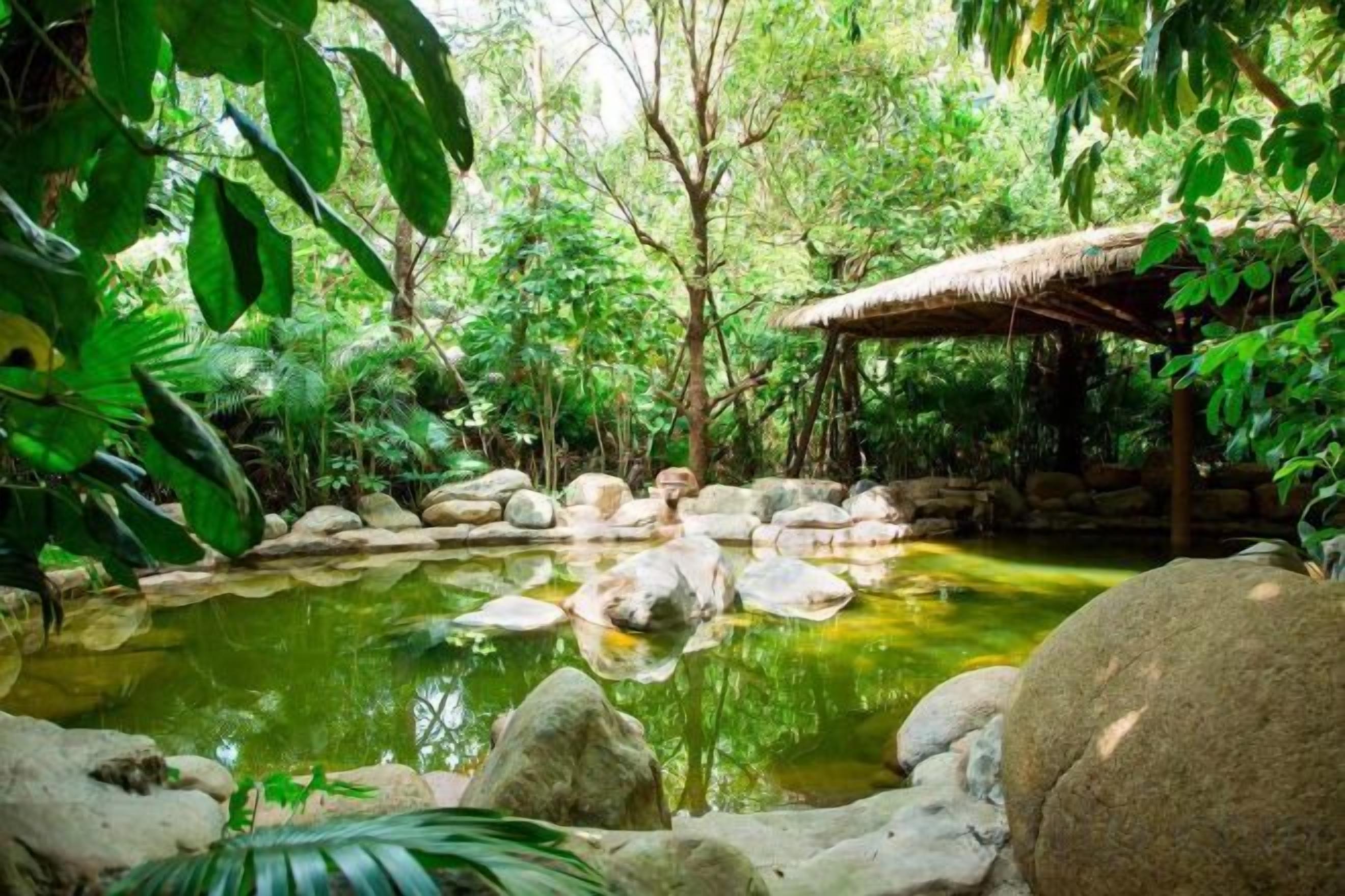 A tranquil garden with a pond, rocks, and a thatched-roof structure.