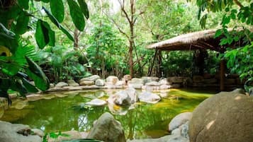 A tranquil garden with a pond, rocks, and a thatched-roof structure.