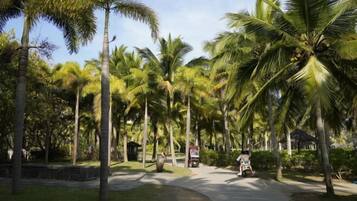 Vista desde la propiedad