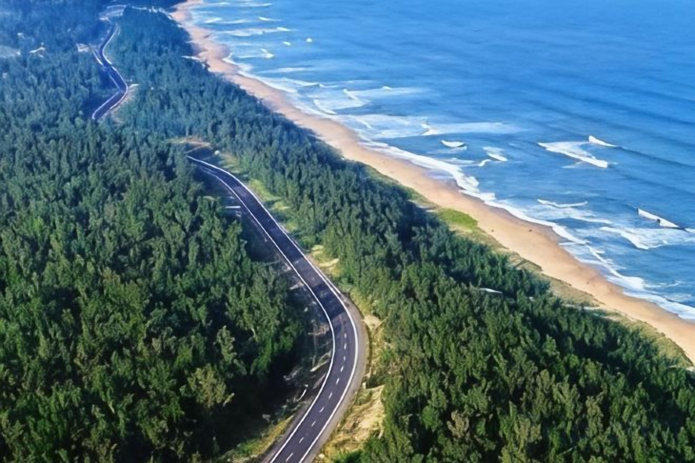Una carretera costera serpentea a través de un bosque denso, conduciendo a una playa.