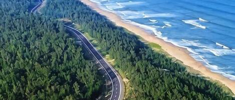 A coastal road curving through a dense forest, leading to a beach.
