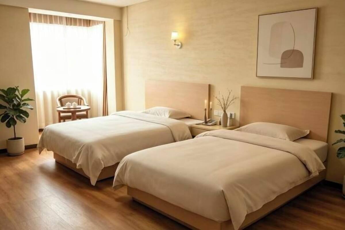 A hotel room with two beds, a wooden floor, a potted plant, a desk, and a chair.