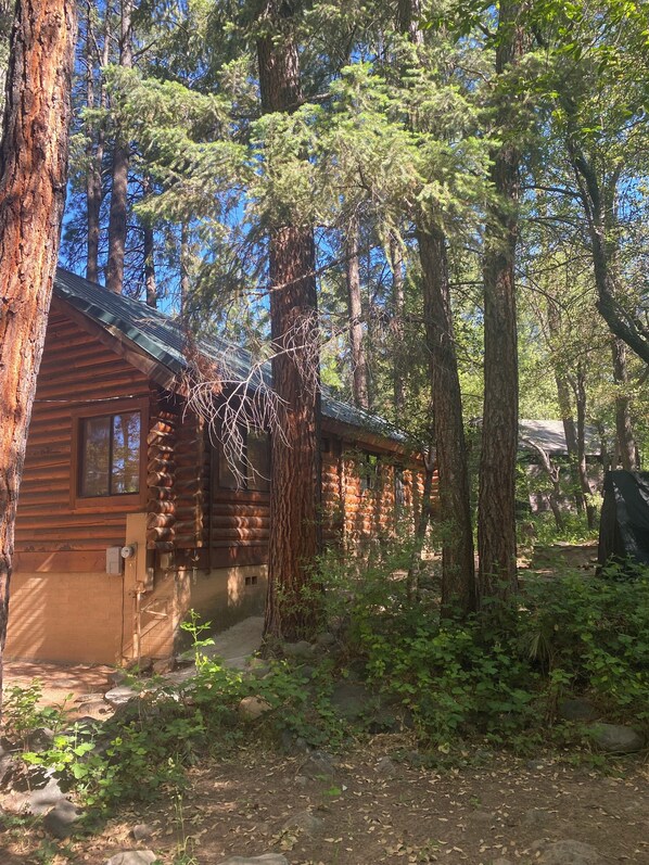 A rustic log cabin surrounded by tall trees and dense foliage. - Gorgeous Full-Log Cabin in the Pines directly on Tonto Creek (Payson)