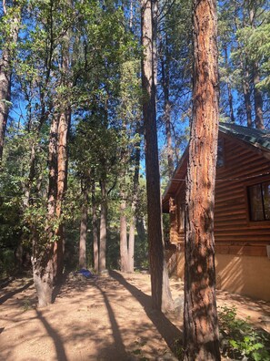 Overnatningsstedets område