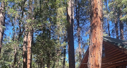 Gorgeous Full-Log Cabin in the Pines directly on Tonto Creek
