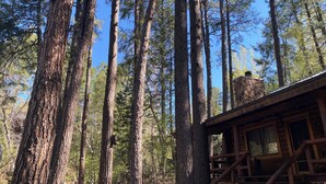 A cabin with a stone chimney, surrounded by tall pine trees.