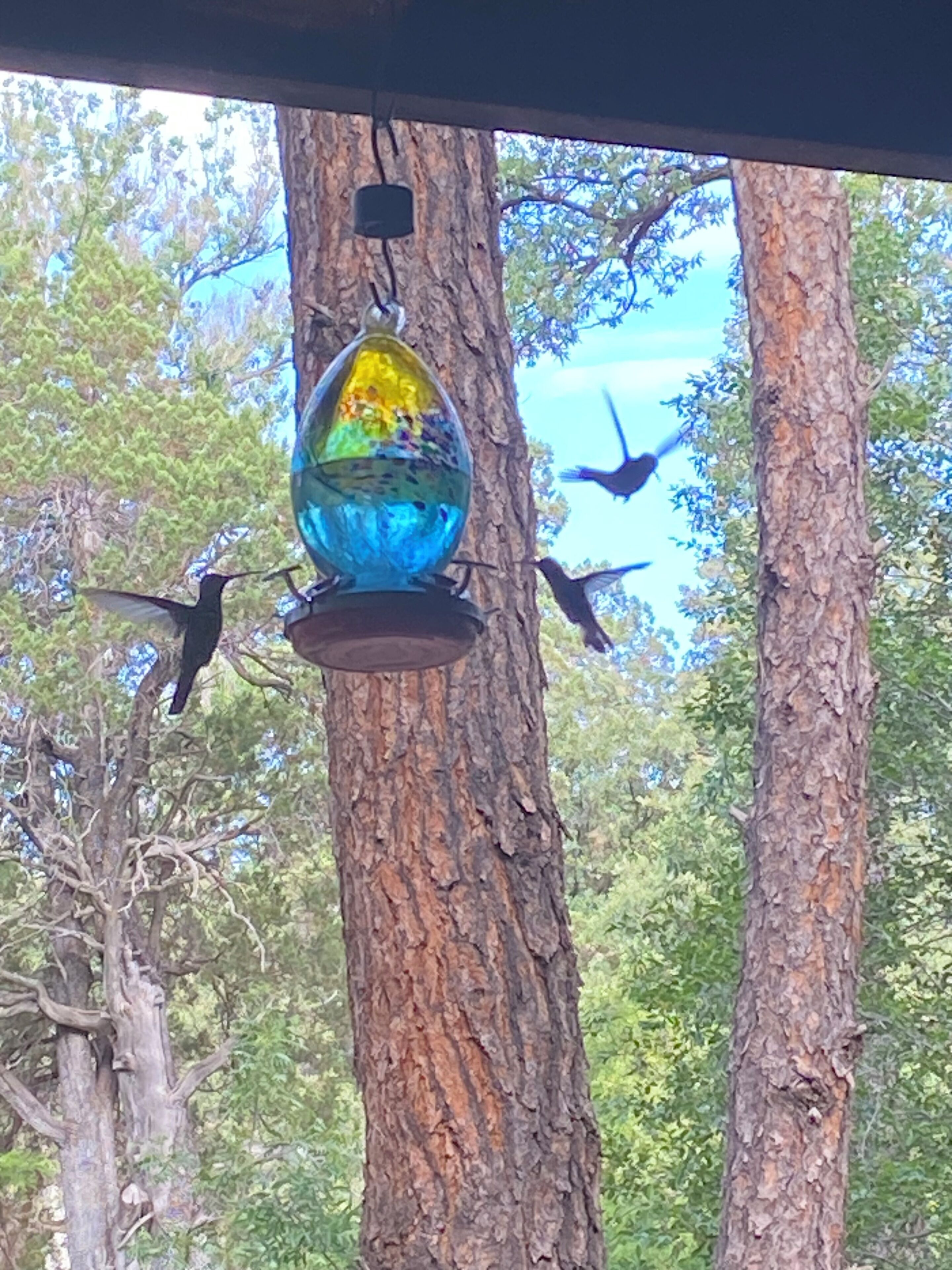 Un comedero para pájaros con un adorno de vidrio colorido colgando de un árbol.