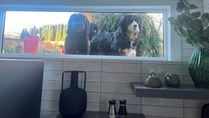 Eine Küche mit Fenster, Blumentopf und Kochgeschirr.