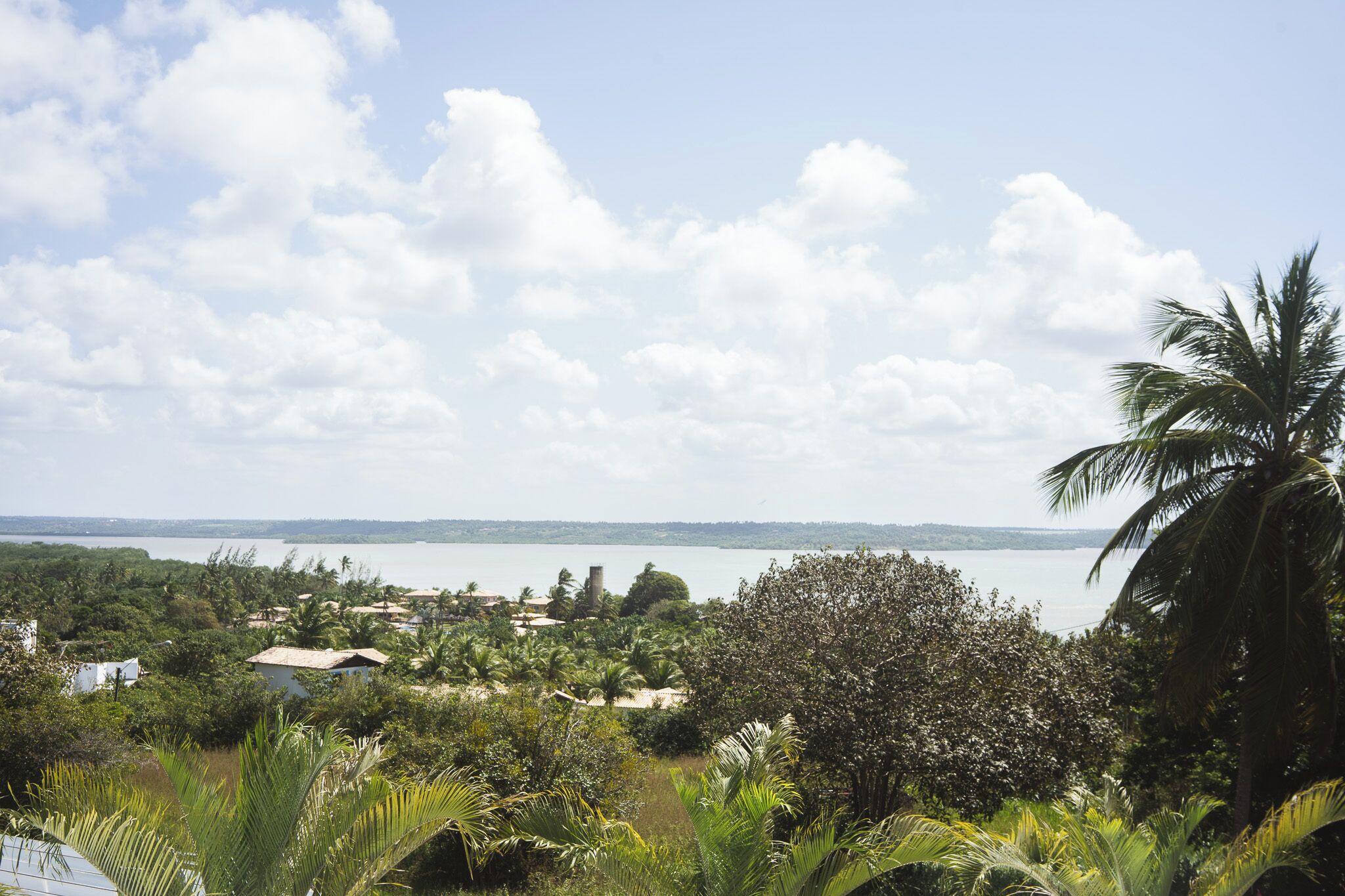 A coastal landscape with a view of the sea, surrounded by lush greenery and palm trees.