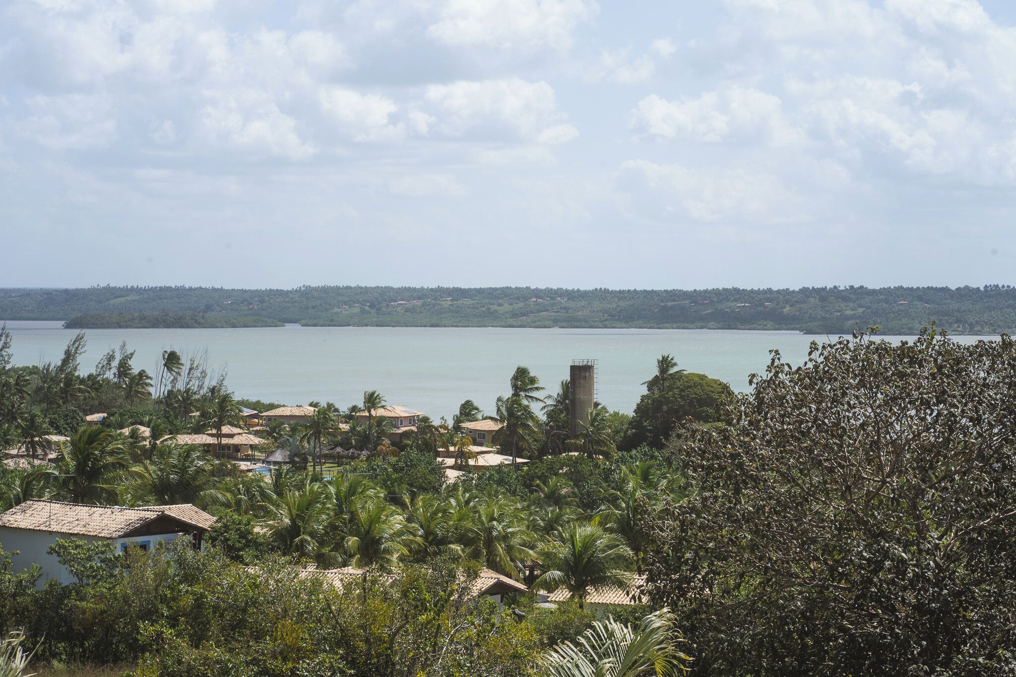 A coastal area with houses, palm trees, and a large body of water.