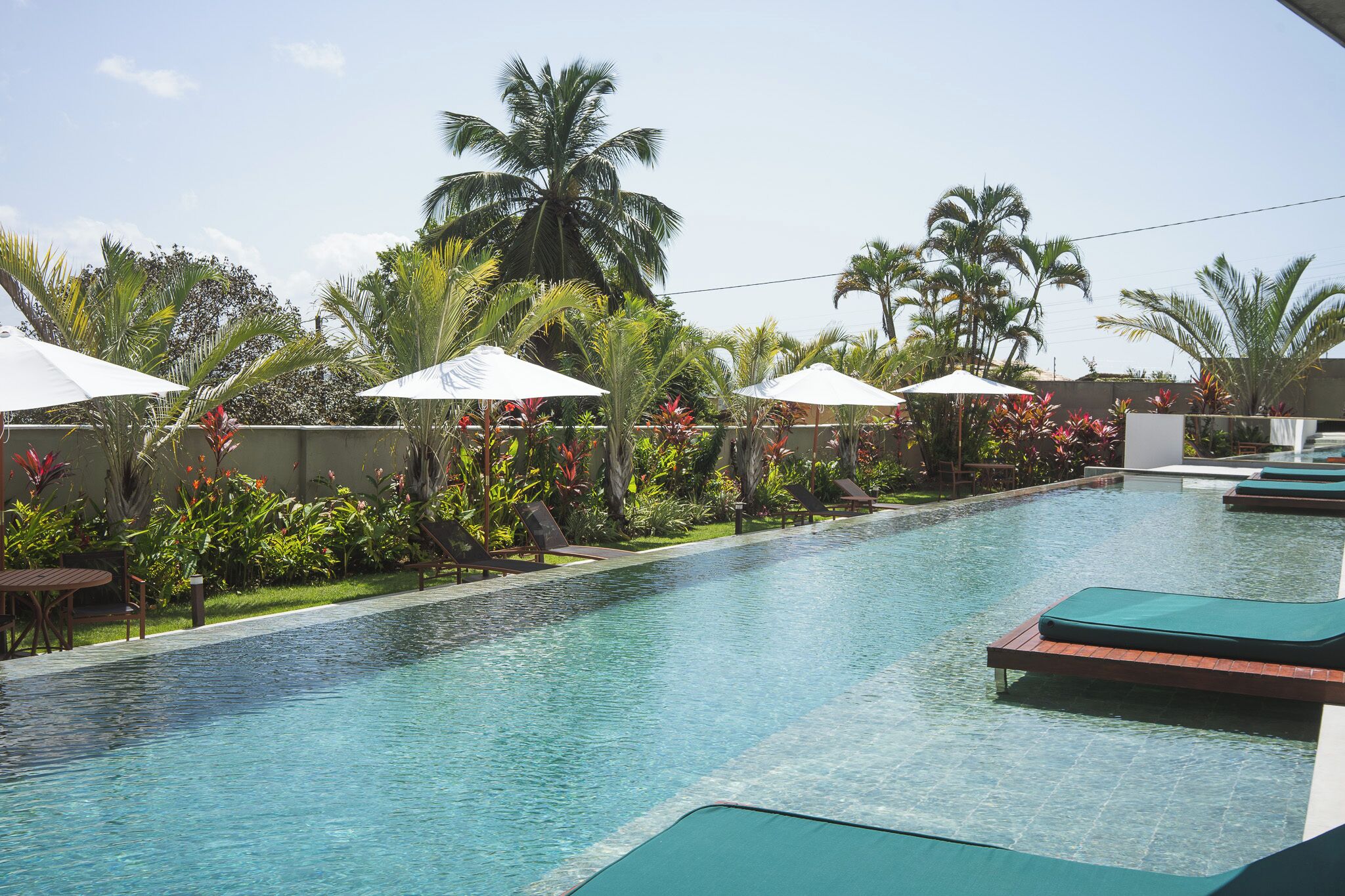 Un espace piscine agrémenté de chaises longues et de parasols, entouré de palmiers et de plantes tropicales.