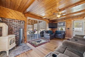 Smart TV, fireplace, books