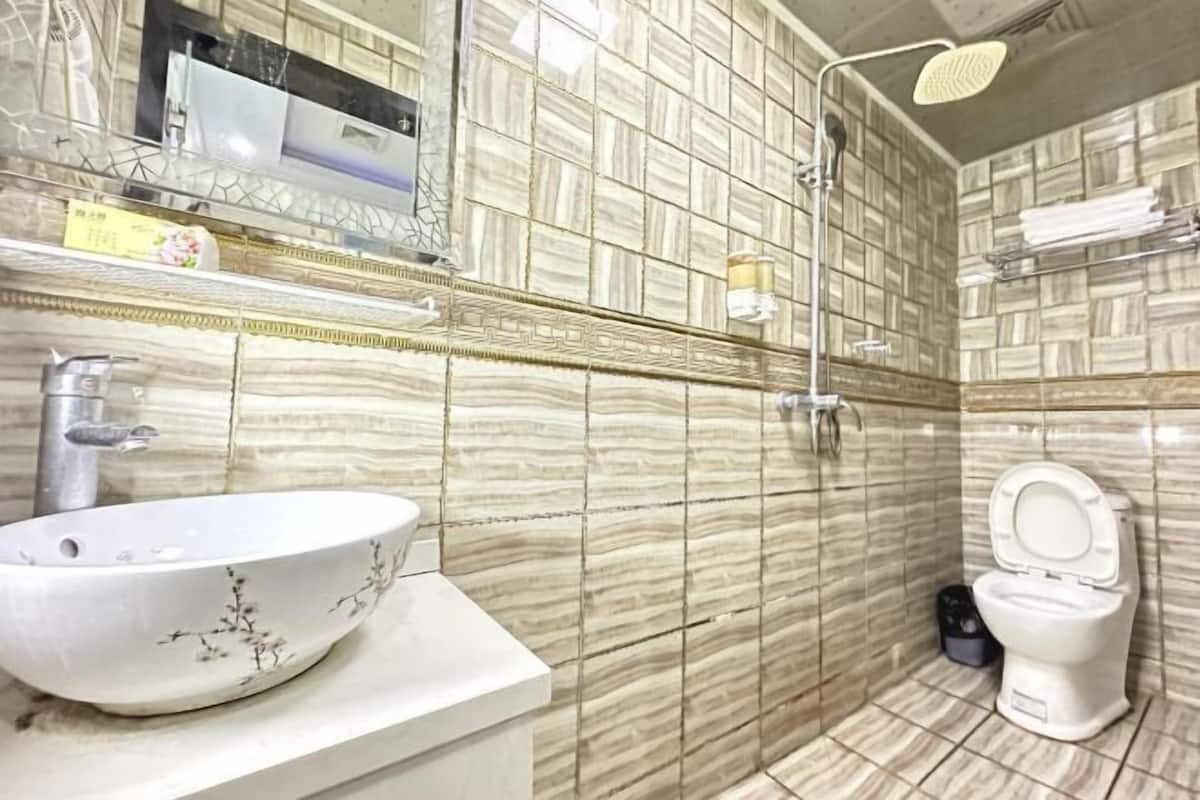 A bathroom with a white sink, a toilet, and a shower with a handheld showerhead.