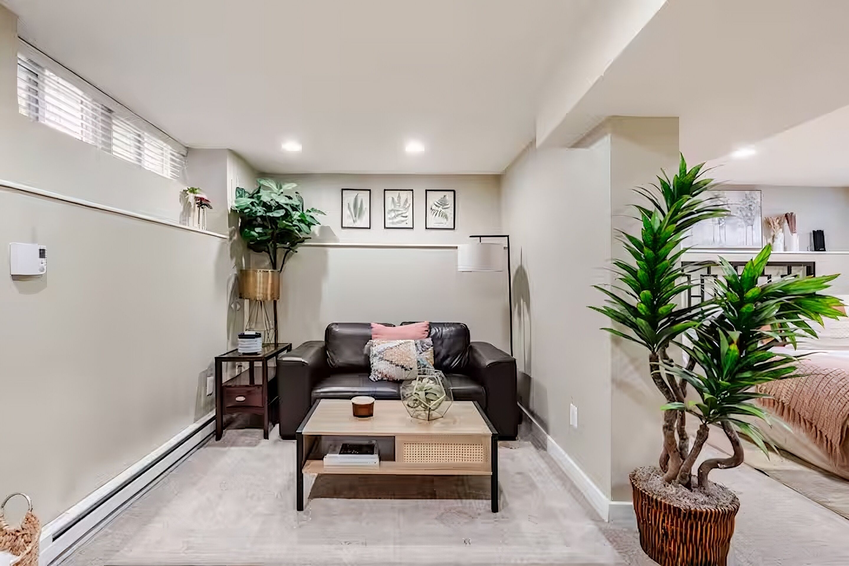 Smart TV, DVD player, books, stereo