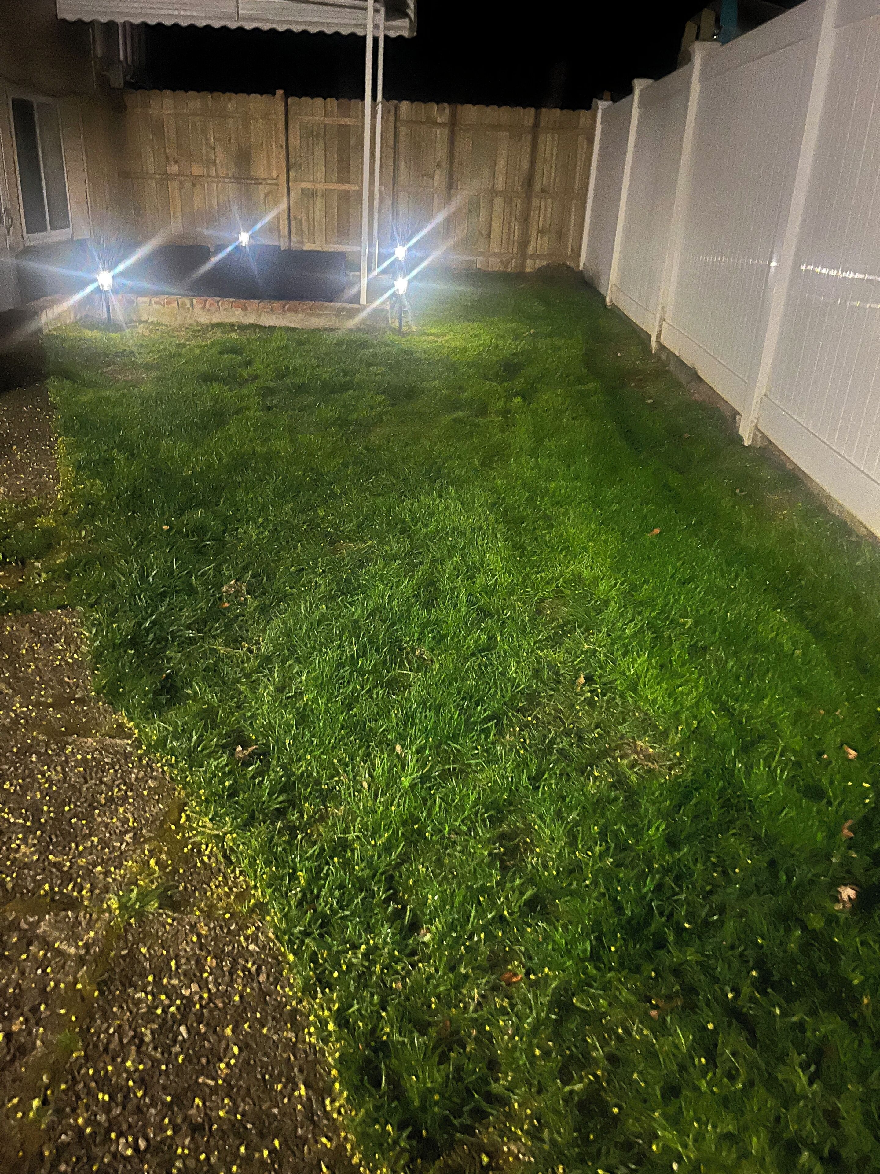 A well-maintained grassy backyard with a wooden fence and a metal gate.