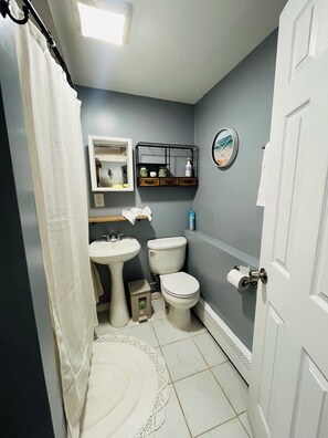 Hair dryer, towels, soap, shampoo