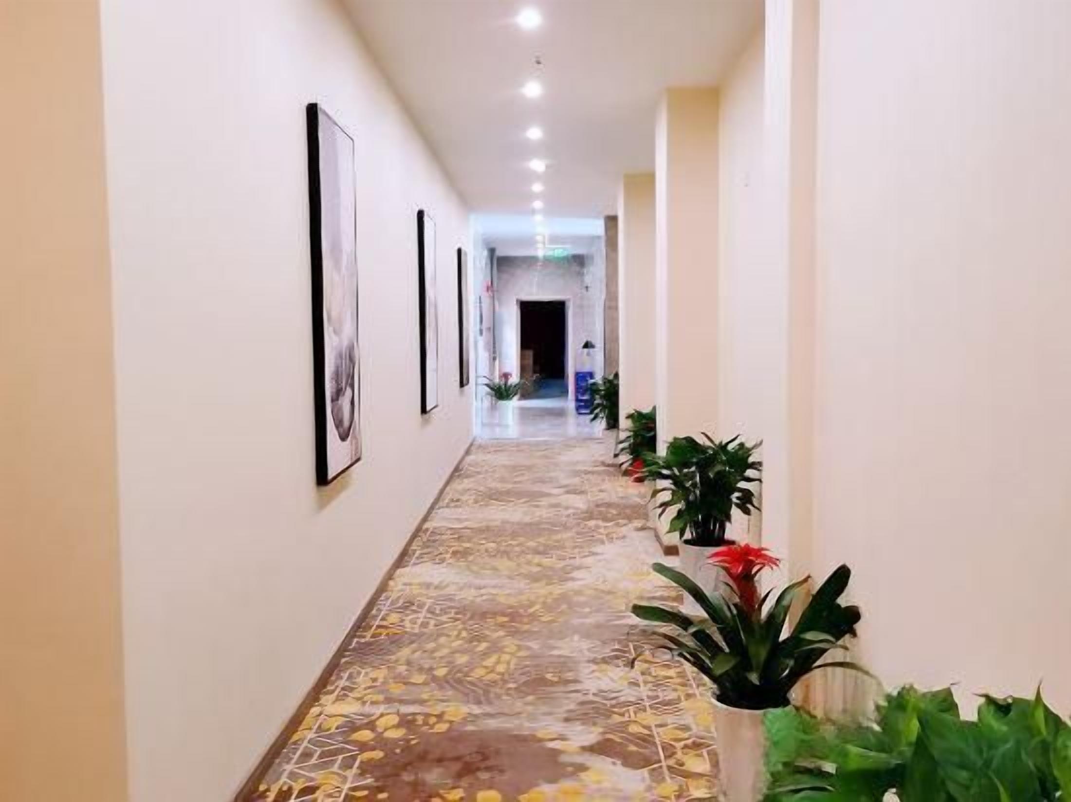A hallway with framed pictures on the walls, potted plants, and a patterned floor.