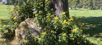 Darling 2-bedroom house on golf course at Lake Almanor West