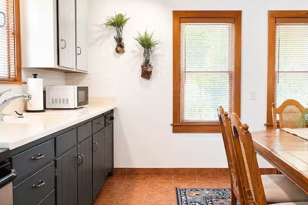Una cocina con microondas, armarios, un lavamanos y dos plantas en macetas.
