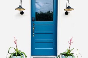 Una puerta azul con un ojo de cerradura y un timbre, flanqueada por dos macetas con hojas verdes y flores rosas.