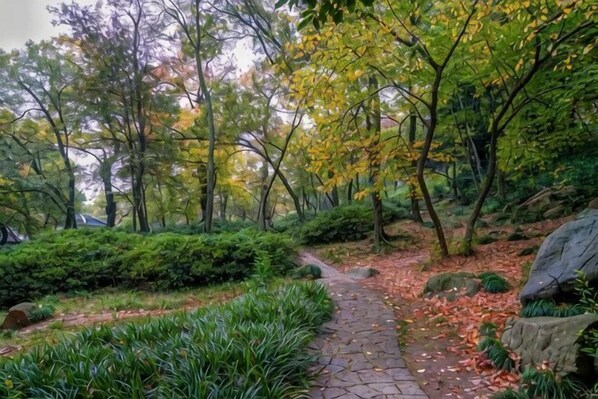 A stone pathway in a forested area with trees and shrubs. - Greentree Inn Jiangsu Suzhou International Film City South Jinshan Road Express Hotel (Suzhou)