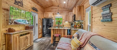 Smart TV, fireplace, books