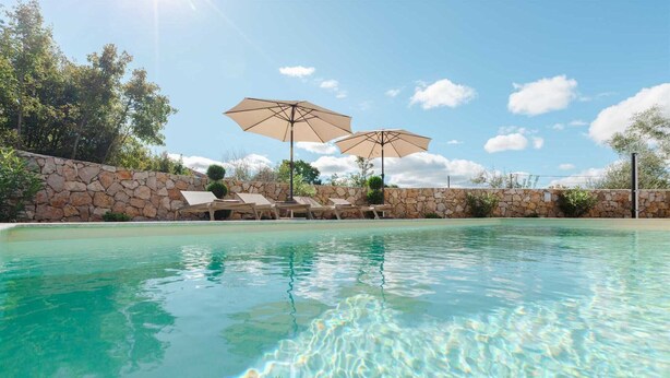 A clear swimming pool with lounge chairs and umbrellas, surrounded by a stone wall and greenery. - Villa DIVA I with private pool (Kras)