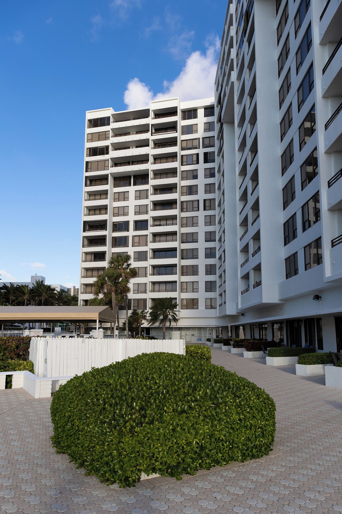 Imagen de perfil del propietario o de la propietaria