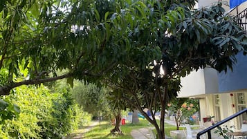 花園