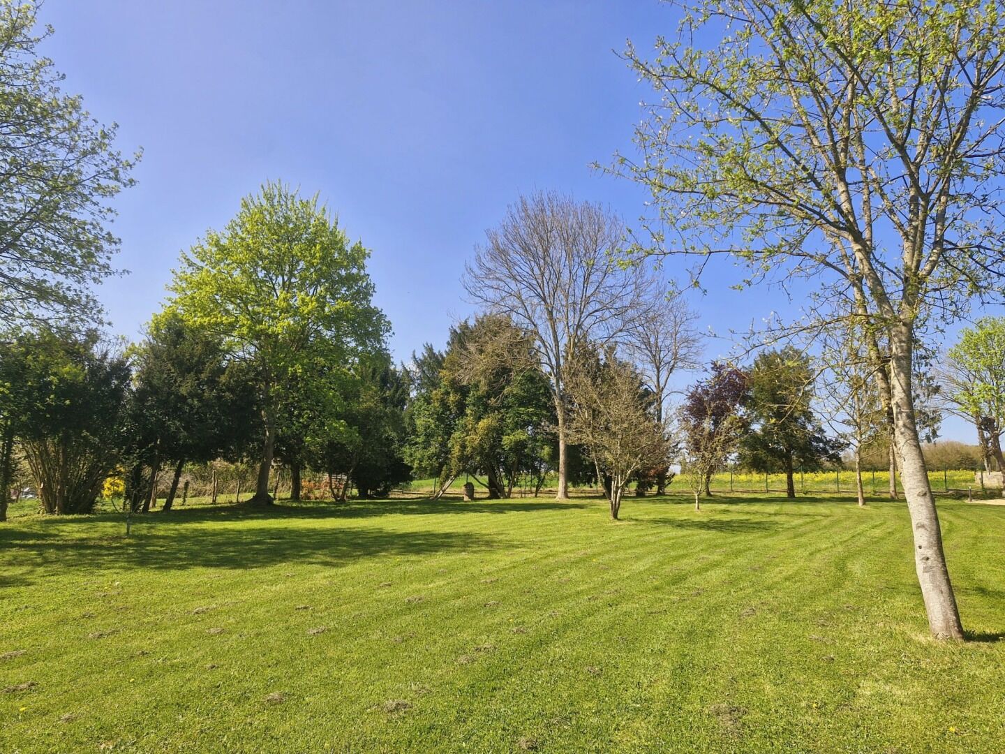 A well-maintained grassy area with trees and a clear sky.