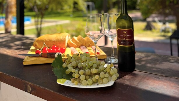 Een tafel met een fles wijn, glazen, een bord druiven en een stokbrood, onder een pergola met bomen op de achtergrond.