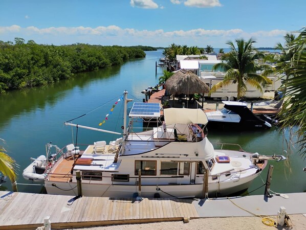 A boat docked at a pier with a thatched roof structure, solar panels, and a view of a mangrove-lined river.