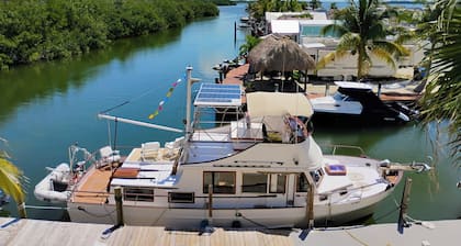 40 Foot Yacht Sunrise Free Kayaks Paddleboard