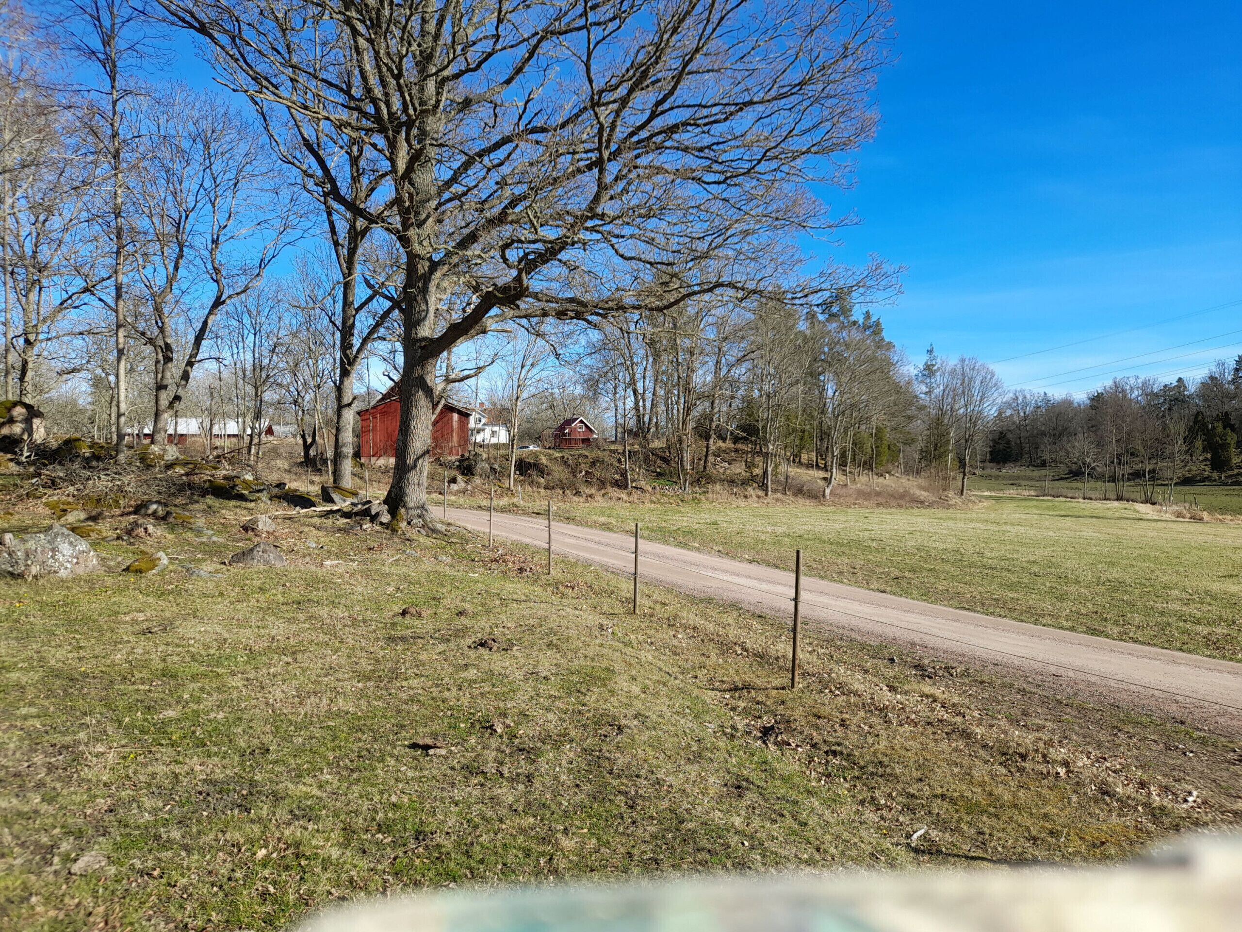 Ländliche Landschaft mit Feldweg, einem großen Baum und einer roten Scheune.