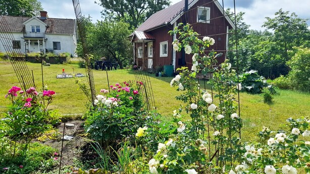 A garden with various flowers and a red house in the background. - Cozy Country Cottage in Scenic Location near Mönsterås | SE05055 (Mönsterås)