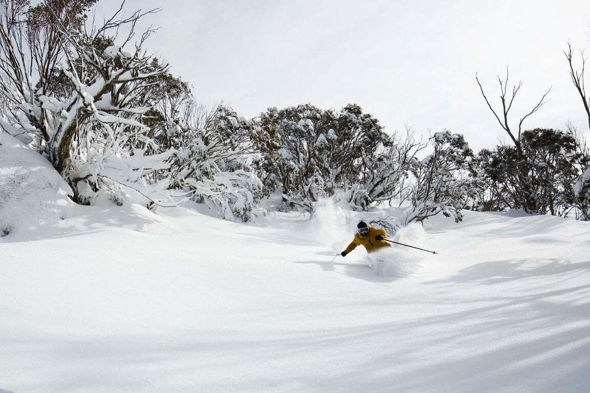 Snø- og skisport