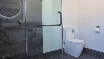 Shower, towels, toilet paper
