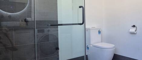 Shower, towels, toilet paper