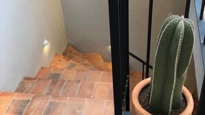 A staircase with terracotta tiles and a potted cactus. - Suites Santa Noche (San Miguel de Allende)