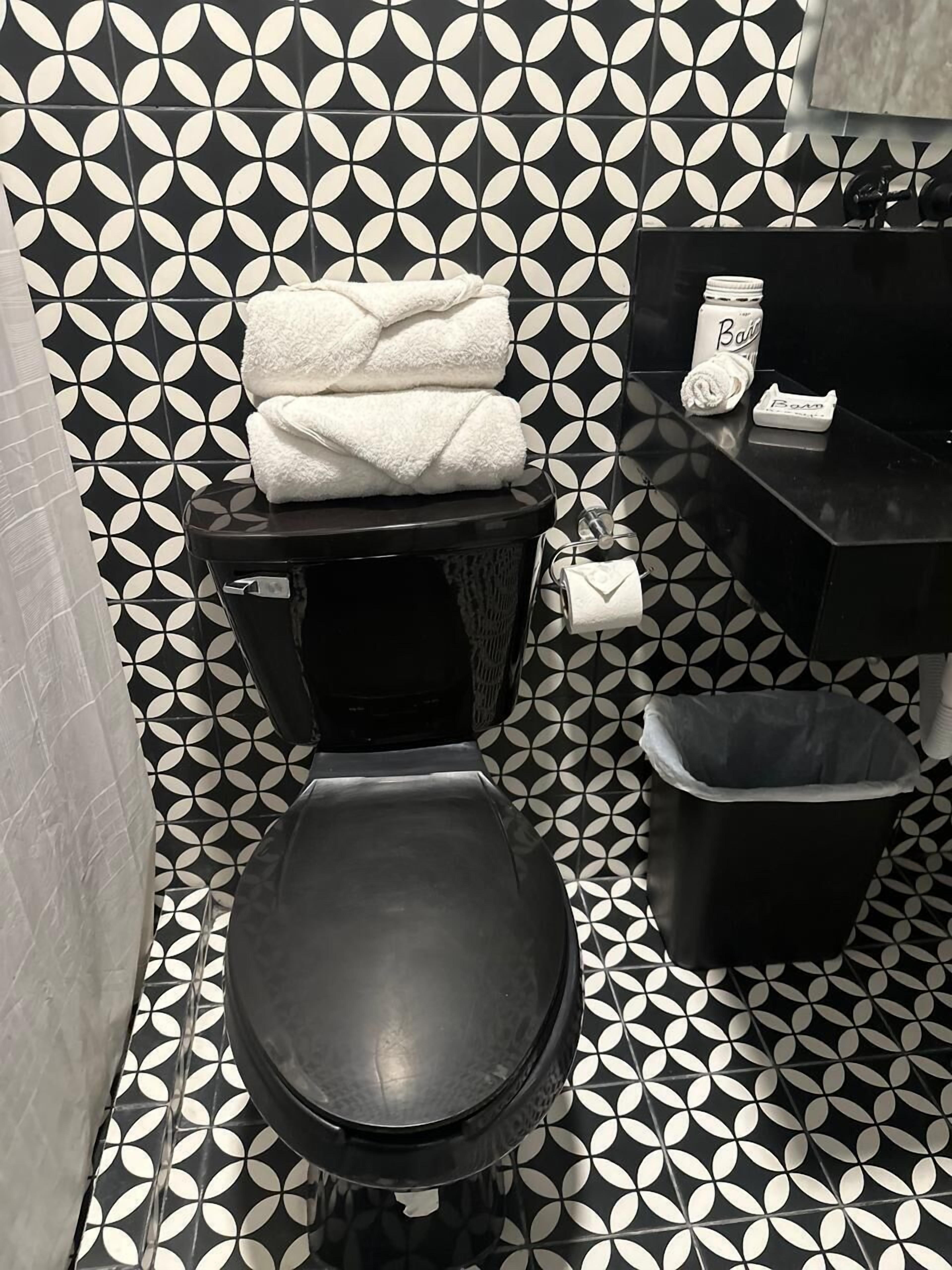 A bathroom with a black toilet, a sink, and a trash bin.