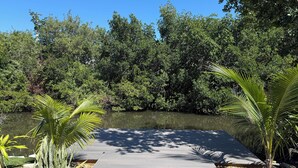 A wooden dock extending into a body of water, surrounded by dense greenery and trees.