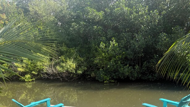 A wooden deck with two turquoise Adirondack chairs facing a calm body of water surrounded by dense greenery.