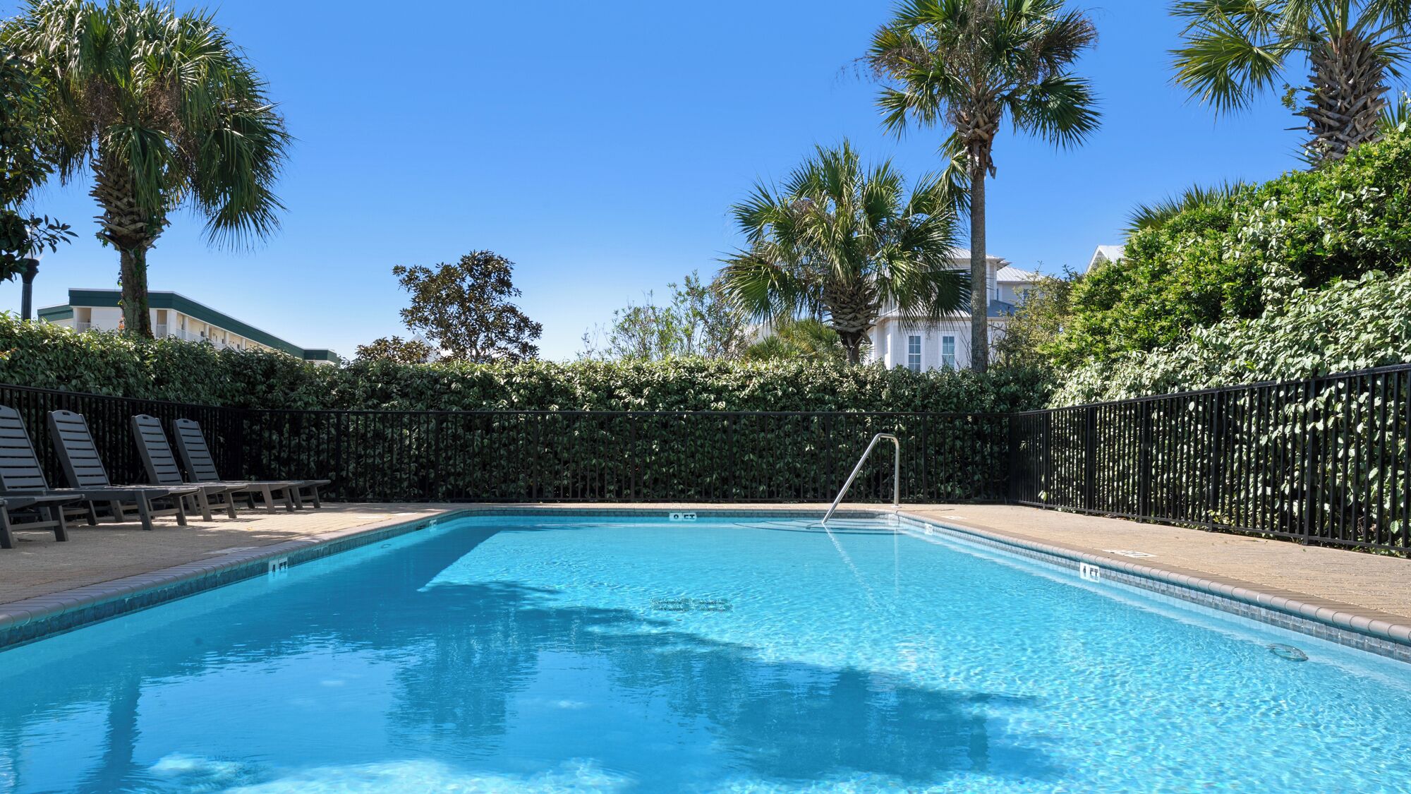 A rectangular swimming pool with a metal ladder, surrounded by a black metal fence and palm trees.