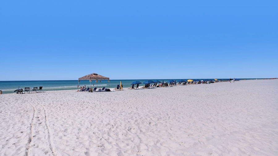 5BR Sleeps 14 in Seagrove Beach, Golf Cart, 6 Bikes, Pool + Free Attractions!