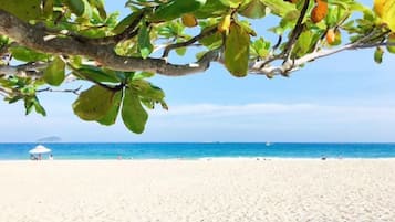 A beach with a clear sky, a sandy shore, and a tree with green leaves.