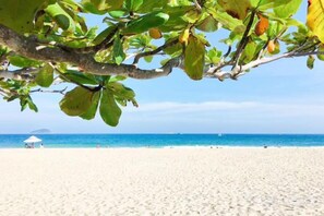 A beach with a clear sky, a sandy shore, and a tree with green leaves.