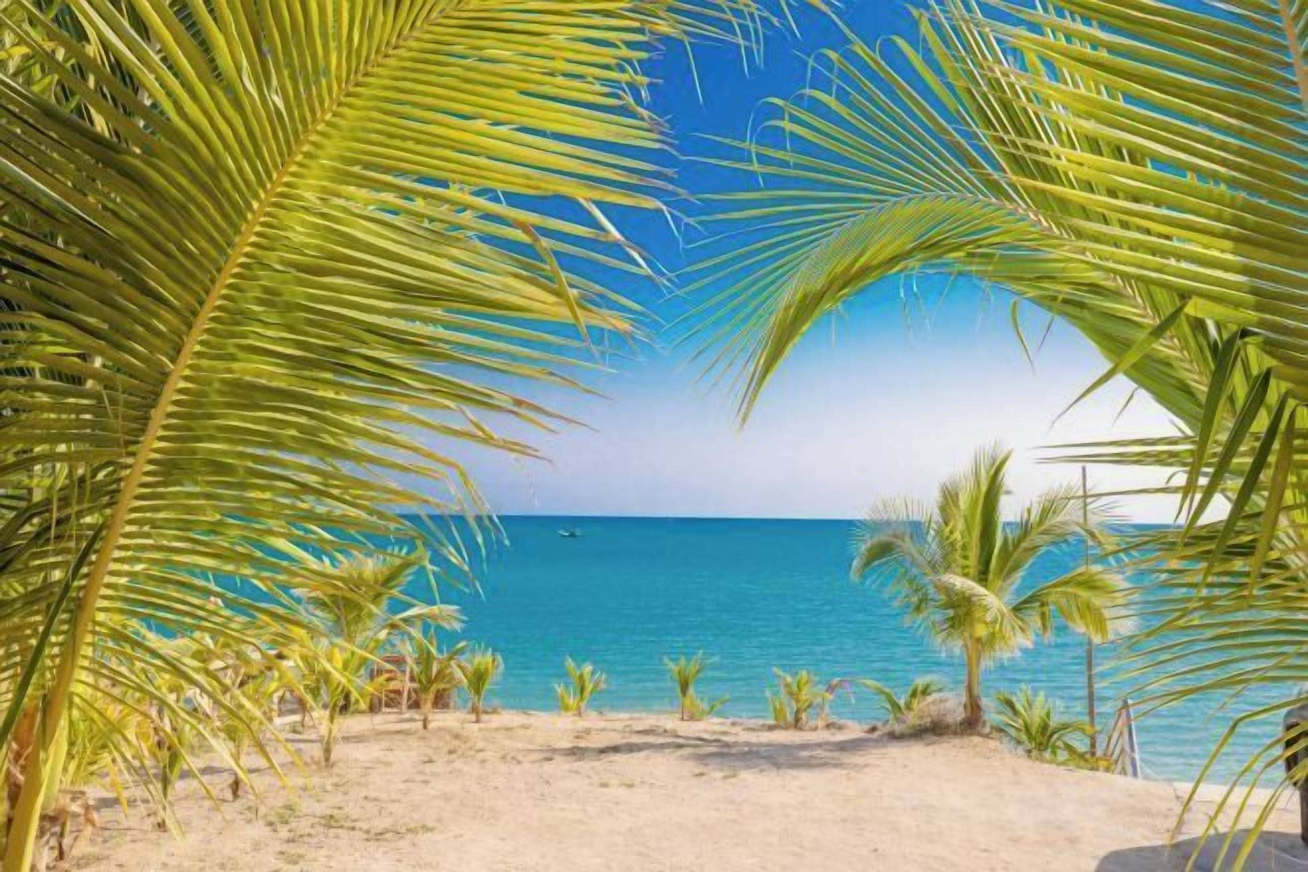 Vista desde la propiedad